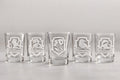 Wizard House Shot Glass Set | Laser Engraved Fantasy Barware, Collector Gift