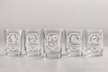 Wizard House Shot Glass Set | Laser Engraved Fantasy Barwa., Collector Gift