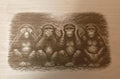 Engraved Wood Panel Art | See No Evil Monkeys, Office Decor (16x12)