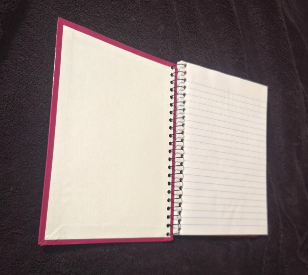 Funny Engraved Notebook 5x7 | “Documentation of the Sh*t You Can’t Make Up” Journal | Sarcastic Gift | Small Spiral Notebook | Office Humor