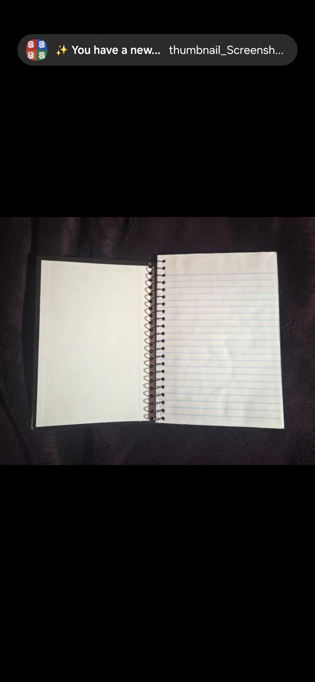 Engraved "F Boy List" Notebook | 5x7 Spiral Journal, Breakup Humor Gag Gift
