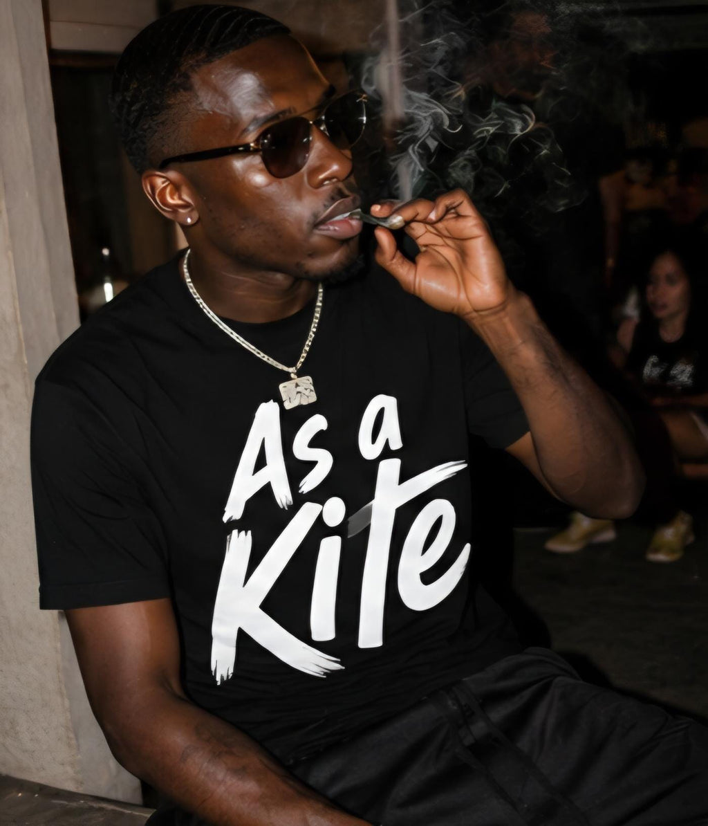 As a Kite Shirt | Funny Party T-Shirt | Streetwear Graphic Tee | Bold Vinyl Style Shirt | Unisex Humor Tee | Chill Vibes Shirt