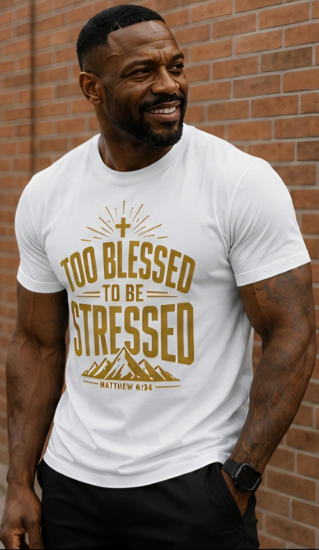 Too Blessed To Be Stressed Christian T-Shirt, Matthew 6:34 Faith Tee